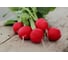 Вираж F1 семена редиса ELITE PLANT-BREEDING & SEED PRODUCTION Co. 20 г ЭС мини 1999944674 2