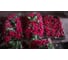 Вираж F1 семена редиса ELITE PLANT-BREEDING & SEED PRODUCTION Co. 20 г ЭС мини 1999944674 3