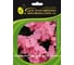 Петуния ELITE PLANT-BREEDING & SEED PRODUCTION Co. многоцвет махр. Дуо Пинк Сатин F1 50 шт ЭС мини 1999949363 1
