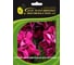 Петуния ELITE PLANT-BREEDING & SEED PRODUCTION Co. многоцвет махр. Дуо Бургунди F1 50 шт ЭС мини 1999949361 1