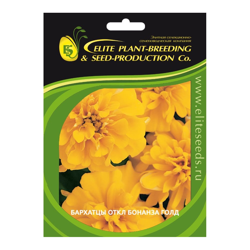 5 USD to EUR - Convert US dollars to Euros - Wise