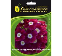 Веребена ELITE PLANT-BREEDING & SEED PRODUCTION Co. Кварц XP Бургунди Виз Ай 250 шт ЭС 1910694