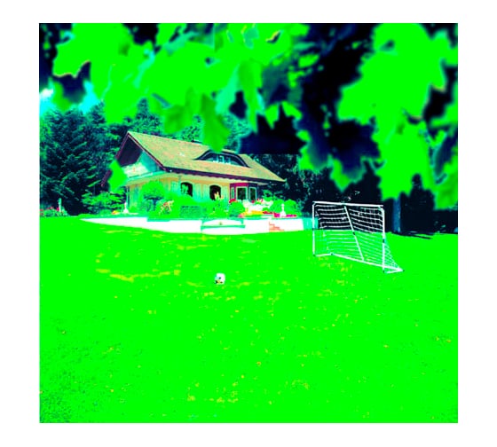 Смесь семян газонных трав Wolf-Garten SPORT FUN 3825 119 LG 125