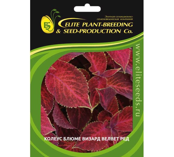 Колеус ELITE PLANT-BREEDING & SEED PRODUCTION Co. Блюме Визард Велвет Ред 500 шт ЭС 1910554 1