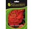 Бархатцы отклоненные ELITE PLANT-BREEDING & SEED PRODUCTION Co. Дюранго Ред 50 шт ЭС мини 1999949352 1
