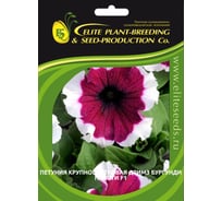 Петуния крупноцветковая ELITE PLANT-BREEDING & SEED PRODUCTION Co. Дримз Бургунди Пикоти F1 500 шт ЭС мини 1910584