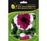 Петуния крупноцветковая ELITE PLANT-BREEDING & SEED PRODUCTION Co. Дримз Бургунди Пикоти F1 500 шт ЭС мини 1910584 1