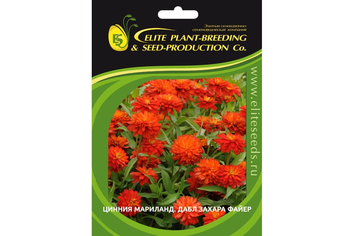 Цинния мариландская ELITE PLANT-BREEDING & SEED PRODUCTION Co. Дабл ...