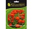 Цинния мариландская ELITE PLANT-BREEDING & SEED PRODUCTION Co. Дабл Захара Файер 20 шт ЭС мини 1999946271 1