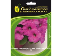 Петуния крупноцветковая ELITE PLANT-BREEDING & SEED PRODUCTION Co. Дримз Неон Роуз F1 70 шт ЭС мини 107000122