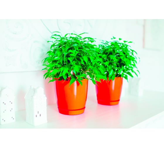 Горшок для цветов GARDENPLAST ФРЕЗИЯ №2 апельсин, высота 170мм, 4814132001035 61001