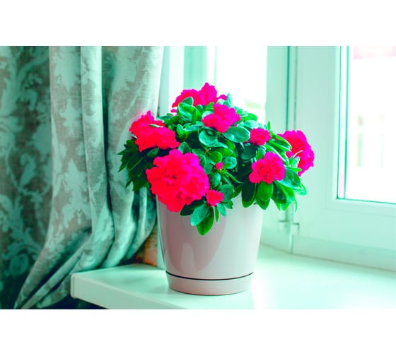 Горшок для цветов GARDENPLAST ФРЕЗИЯ №2 капучино, высота 170мм, 4814132001080 61006