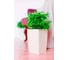 Кашпо для цветов GARDENPLAST ЖАСМИН со вставкой, бежевый 4814132001448 65007 3