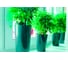 Кашпо для цветов GARDENPLAST КАМЕЛИЯ со вставкой, высота 260мм, графит 4814132001295 63010 2
