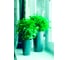 Кашпо для цветов GARDENPLAST КАМЕЛИЯ со вставкой, высота 260мм, графит 4814132001295 63010 4