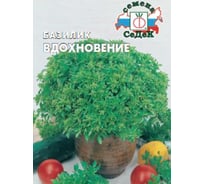 Базилик СеДек Вдохновение (однолетн.,ОГ/ЗГ,травянист.раст.зелен.выс.40-50 см., употр. в св. и суш.виде) Евро, 0.1 15323