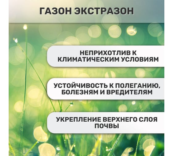 Семена газонных трав Зеленый ковер Экстразон, Газон за неделю 10 кг, для скоростного озеленения 4607160333786 1