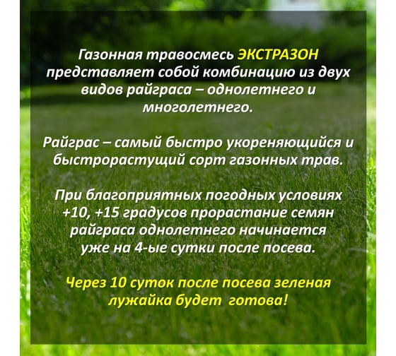 Семена газонных трав Зеленый ковер Экстразон, Газон за неделю 10 кг, для скоростного озеленения 4607160333786