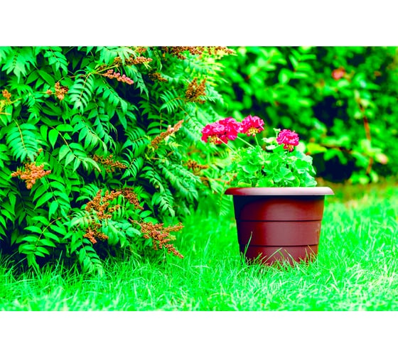 Горшок GARDENPLAST Примула пластмассовый, d=270, h=220,7л, шоколад 4814132001905 82001