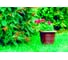 Горшок GARDENPLAST Примула пластмассовый, d=270, h=220,7л, шоколад 4814132001905 82001 2