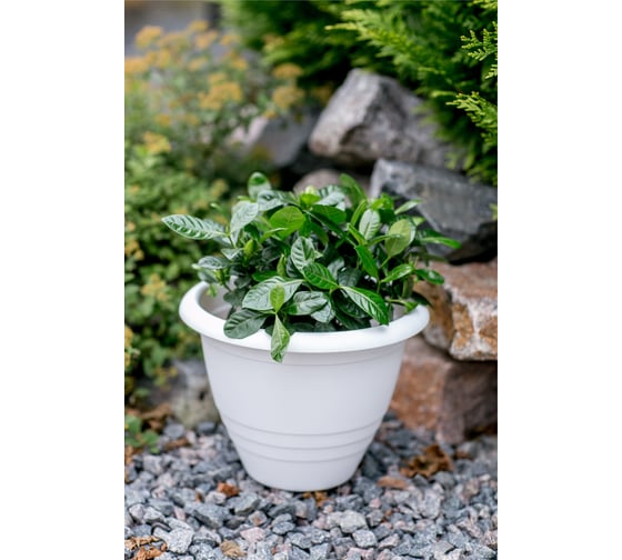 Горшок GARDENPLAST Виола пластмассовый, d=290, h=220, 7,5л, белый 4814132001974 83000