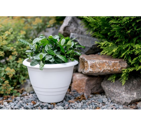 Горшок GARDENPLAST Виола пластмассовый, d=290, h=220, 7,5л, белый 4814132001974 83000