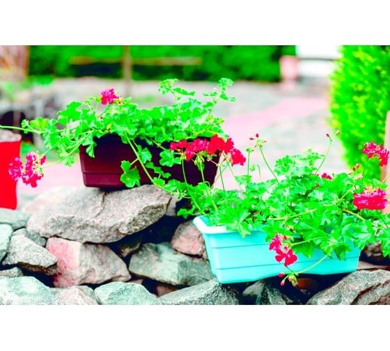 Балконный ящик GARDENPLAST №2 l=480 h=170, светло-голубой 48141320012148 81008