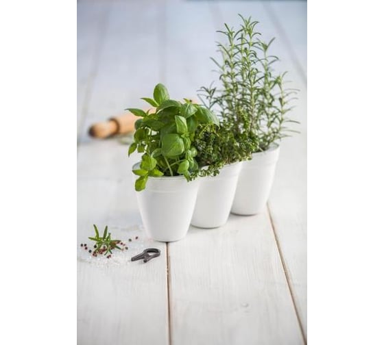 Кашпо Keter IVY HERBS WHITE 17197630