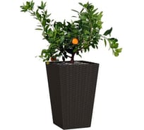 Кашпо Keter Rattan Planter M коричневое