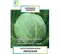 Капуста белокочанная Агрохолдинг ПОИСК Июньская 0,5гр ОИ 705988