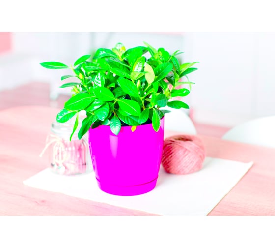 Горшок для цветов GARDENPLAST ФРЕЗИЯ №1 фуксия, высота 145мм 4814132003121 00022