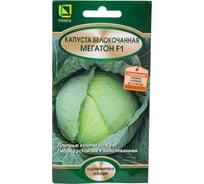 Капуста белокочанная Агрохолдинг ПОИСК Мегатон F1 10шт 831692