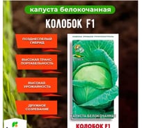 Капуста белокочанная Агрохолдинг ПОИСК Колобок F1 0,2гр ОИ 724015