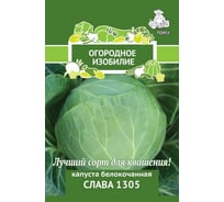 Капуста белокочанная Агрохолдинг ПОИСК Слава 1305 0,5гр ОИ 705991