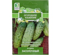 Огурец Агрохолдинг ПОИСК Засолочный 0,5гр ОИ 706101