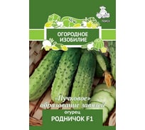 Огурец Агрохолдинг ПОИСК Родничок F1 (А) 0,5гр ОИ 706114