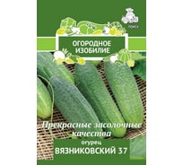 Огурец Агрохолдинг ПОИСК Вязниковский 37 0,5гр ОИ 706098 34112857