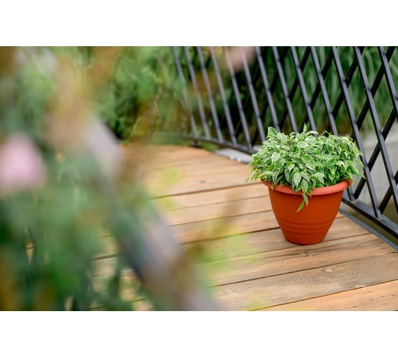 Пластмассовый горшок GARDENPLAST Виола d=290 мм, h=220 мм, 7.5л, терракот 4814132001998 83002