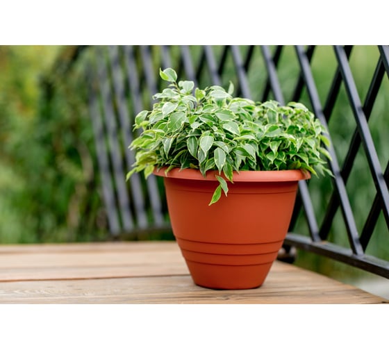 Пластмассовый горшок GARDENPLAST Виола d=290 мм, h=220 мм, 7.5л, терракот 4814132001998 83002