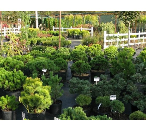 Садовая табличка GARDENPLAST 400х103х67, 5 шт. 4814132003060 00016