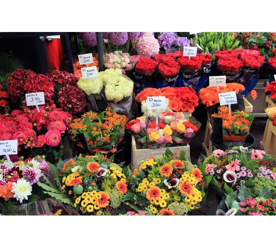 Садовая табличка GARDENPLAST 400х103х67, 5 шт. 4814132003060 00016