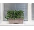 Балконный ящик GARDENPLAST №1 l=400 мм, h=140 мм, капучино 4814132001783 80005 2