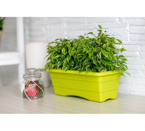 Балконный ящик GARDENPLAST №2 l=480 мм, h=170 мм, оливковый 4814132003084 00018