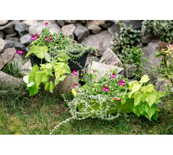 Балконный ящик GARDENPLAST №2 l=480 мм, h=170 мм, оливковый 4814132003084 00018