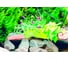Балконный ящик GARDENPLAST №2 l=480 мм, h=170 мм, оливковый 4814132003084 00018 3
