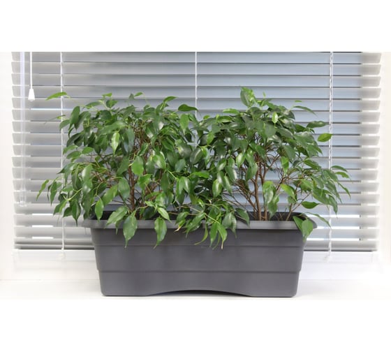 Балконный ящик GARDENPLAST №2 l=480 мм, h=170 мм, графит 4814132001844 81003