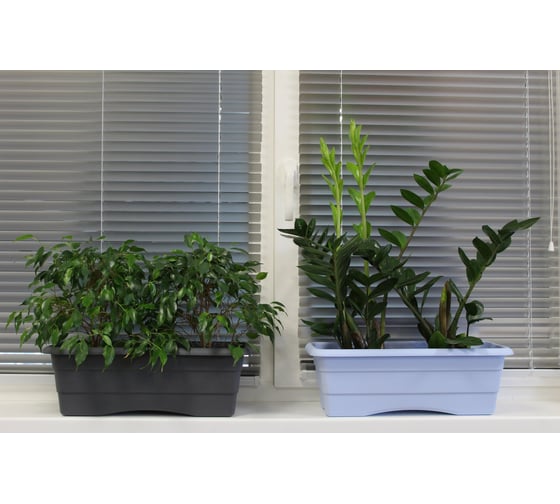 Балконный ящик GARDENPLAST №2 l=480 мм, h=170 мм, графит 4814132001844 81003