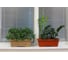 Балконный ящик GARDENPLAST №2 l=480 мм, h=170 мм, карамель 4814132001882 81007 2