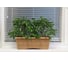 Балконный ящик GARDENPLAST №2 l=480 мм, h=170 мм, карамель 4814132001882 81007 3