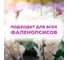 Удобрение для орхидей Сила Суздаля 500 гр 4630249440365 4